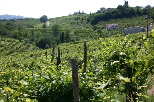 B&B Alla Pergola Valdobbiadene Buitenkant foto